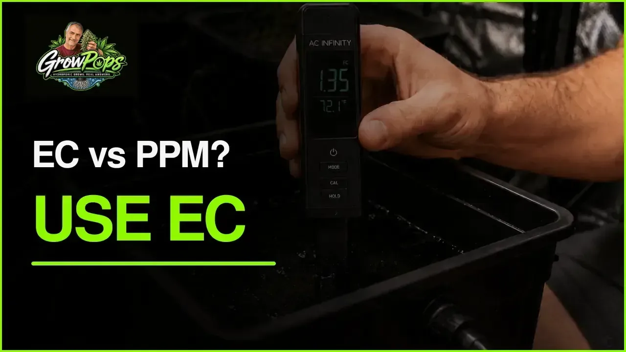 What’s the difference between EC and PPM, and which one should you use?